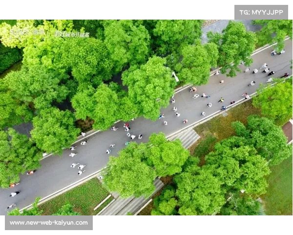 碳纤维健走杖减重30% 专为老年人设计提升行走舒适度 碳纤维健走杖减重30% 专为老年人设计提升行走舒适度